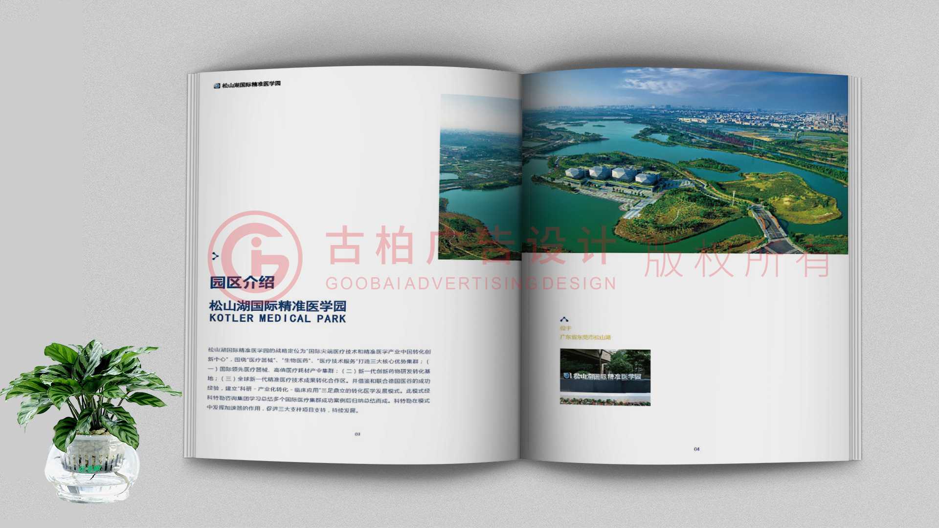 一本聚會紀(jì)念冊該如何通過排版來提升整體的美觀性？