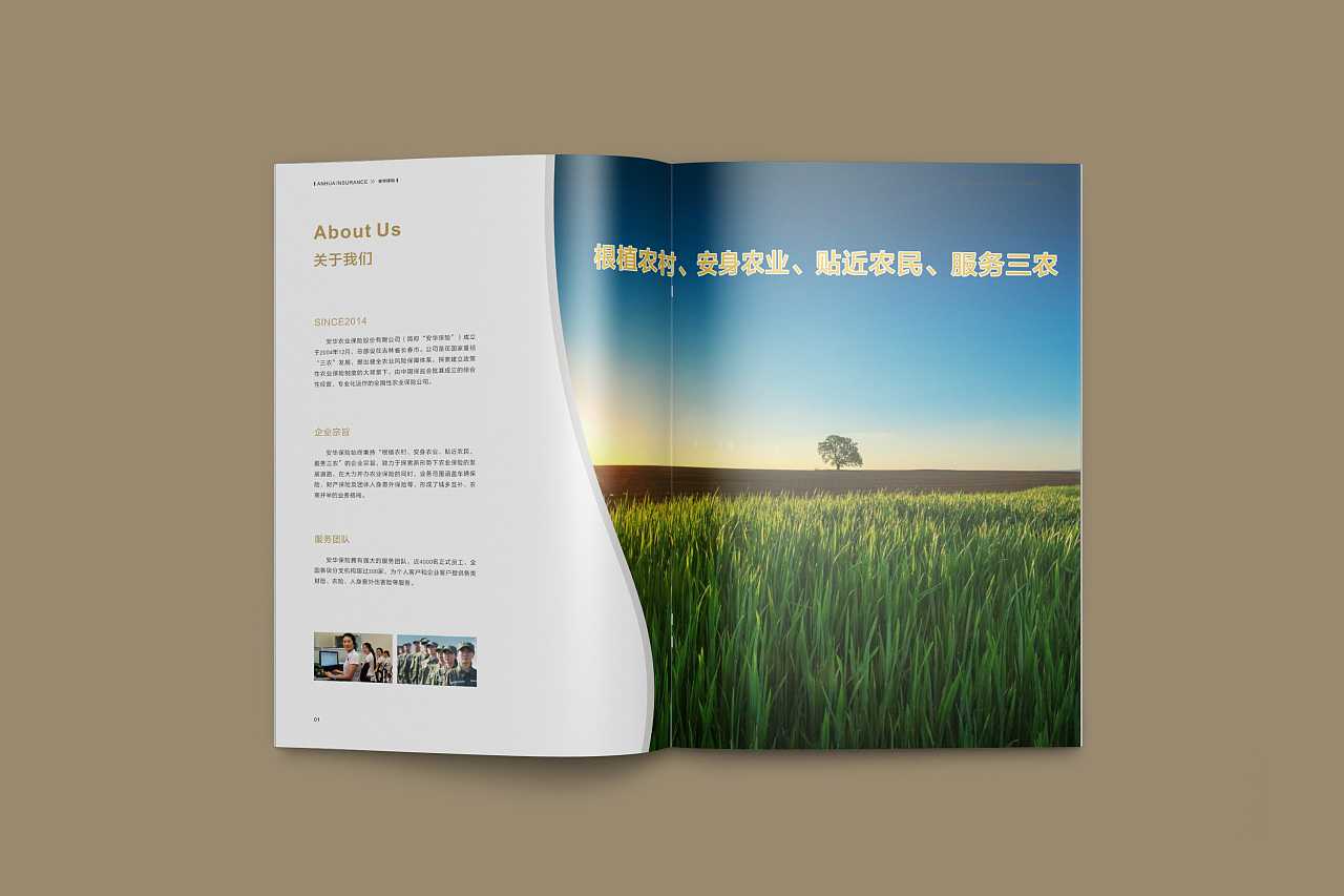 成都企業(yè)為什么要選擇高端宣傳冊設計公司呢？