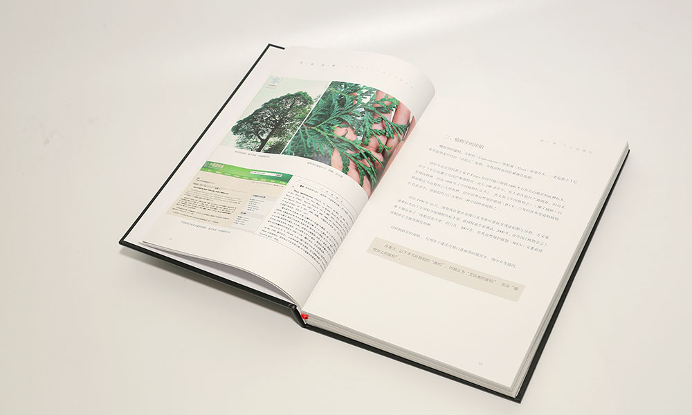 怎么學(xué)畫冊設(shè)計制作多大合適？